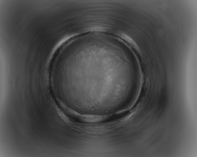 X0000086751027200704131146