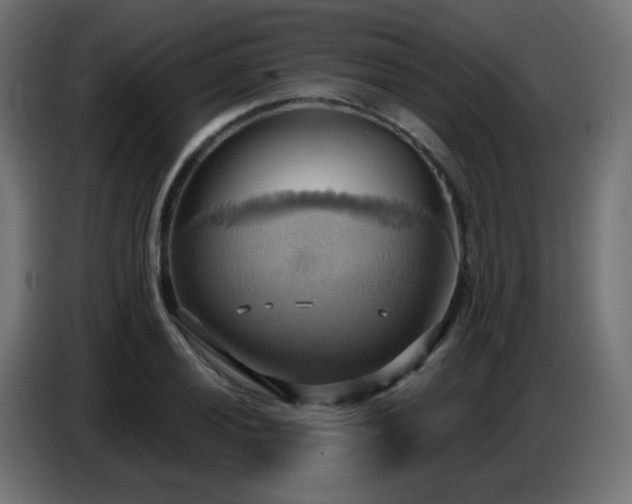 X0000086751028200704131146