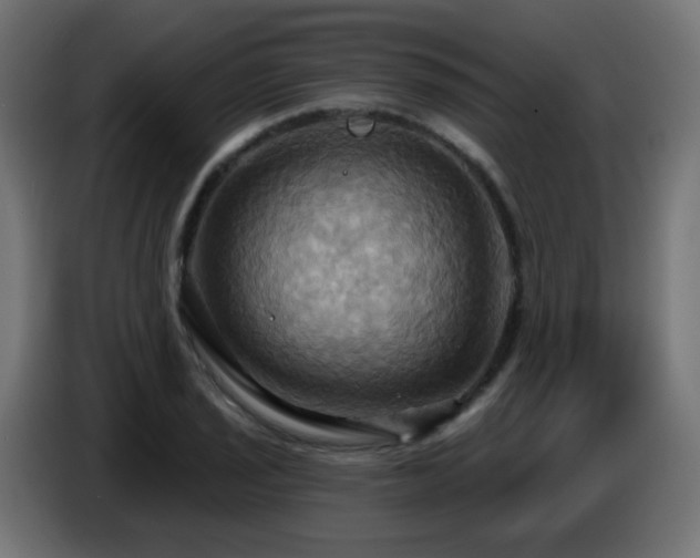 X0000086751029200704131146