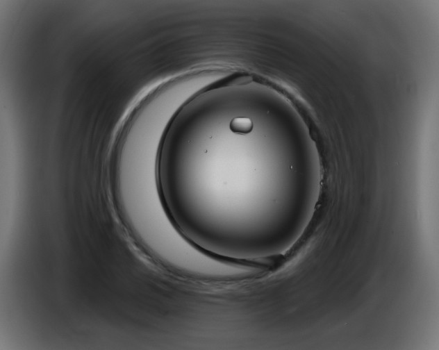 X0000086751030200704131146