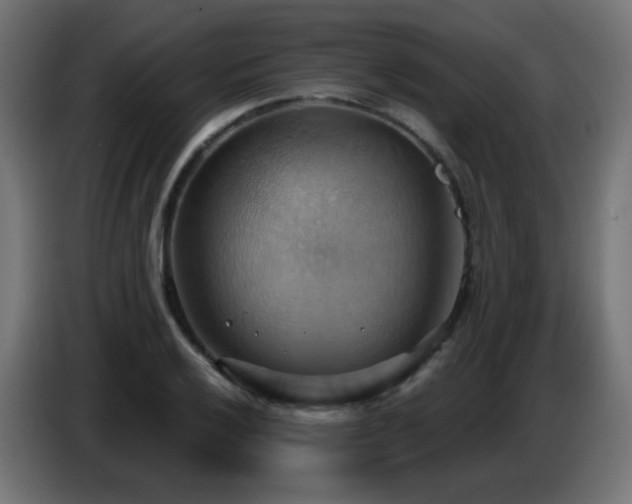 X0000086751032200704131146