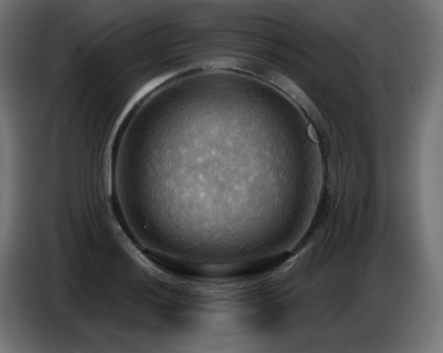 X0000086751036200704131146