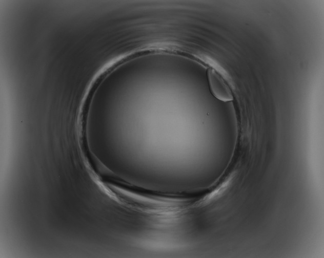 X0000086751037200704131146