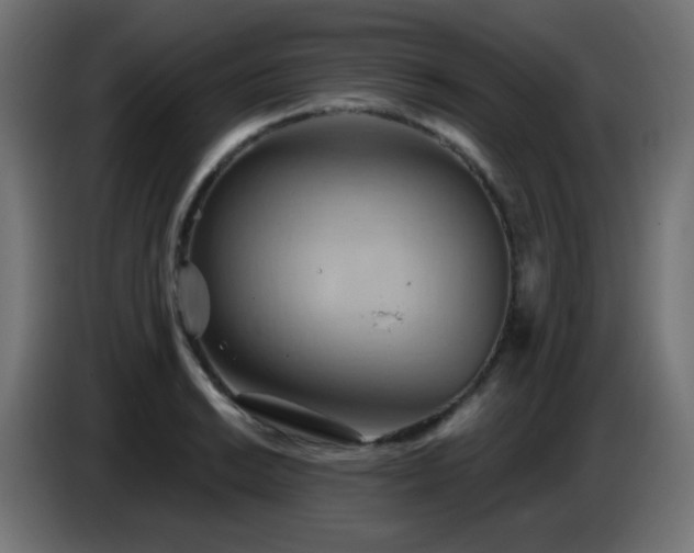 X0000086751038200704131146