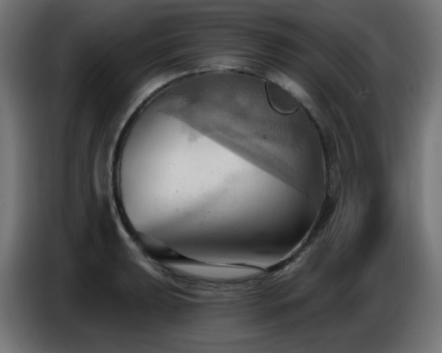 X0000086751039200704131146