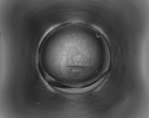 X0000086751040200704131146