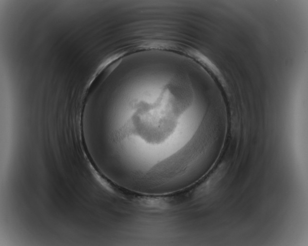X0000086751041200704131146