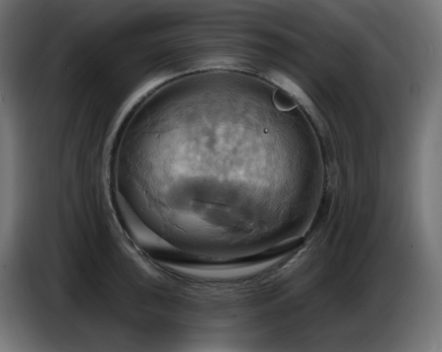 X0000086751043200704131147