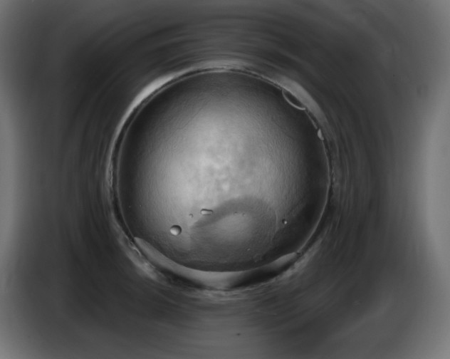 X0000086751044200704131147