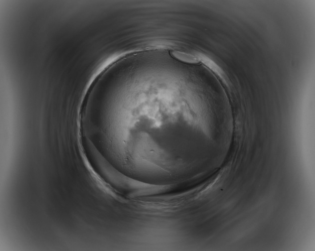 X0000086751047200704131147
