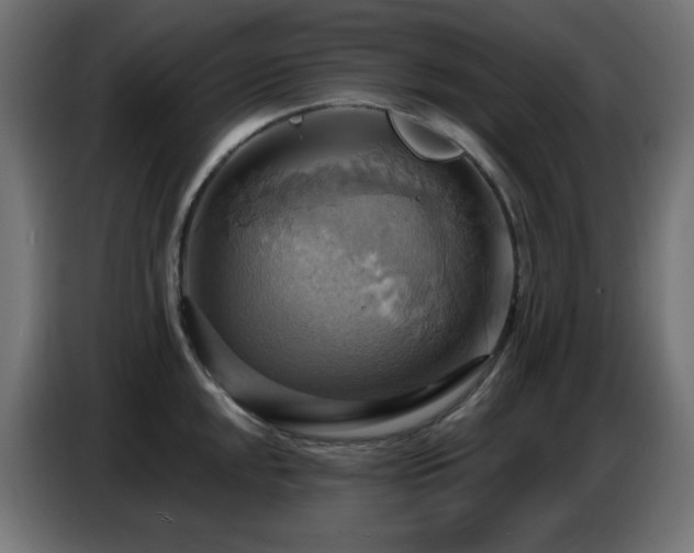 X0000086751048200704131147