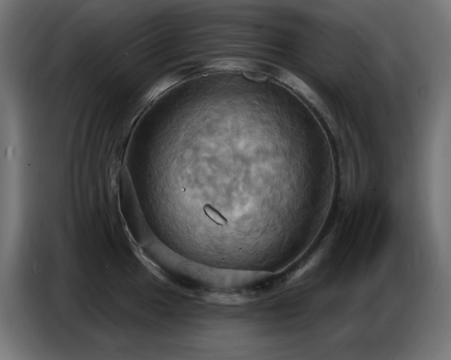 X0000086751049200704131147