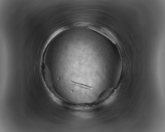 X0000086751050200704131147