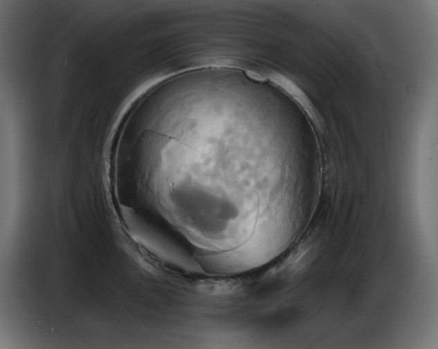 X0000086751051200704131147