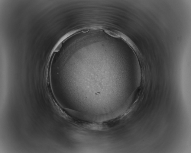 X0000086751052200704131147