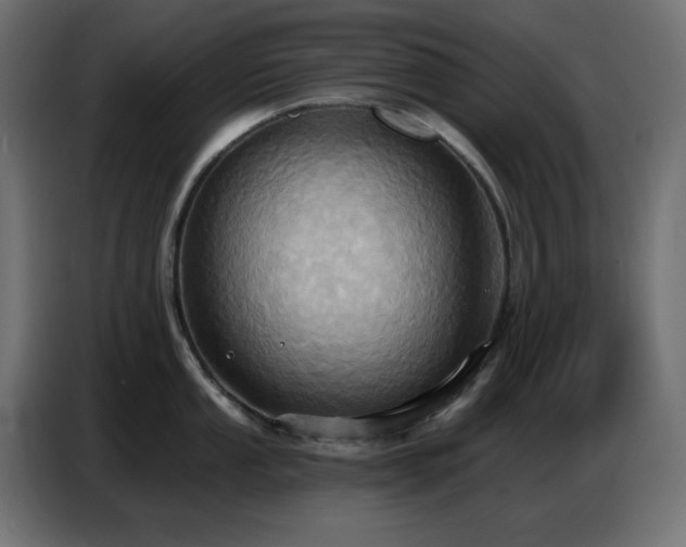 X0000086751053200704131147