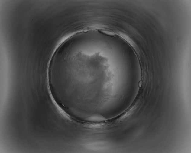 X0000086751055200704131147