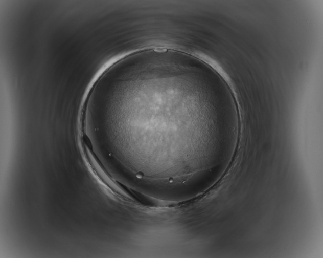 X0000086751056200704131147