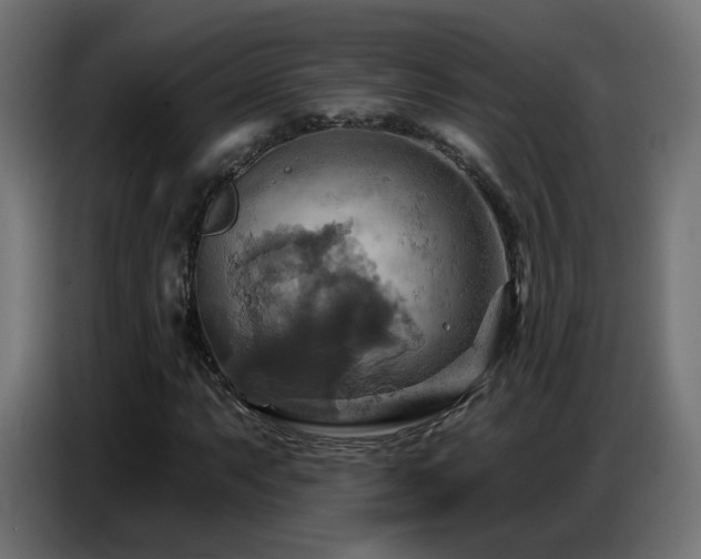 X0000086751063200704131146