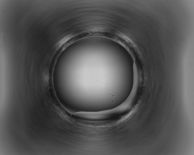 X0000086751065200704131146