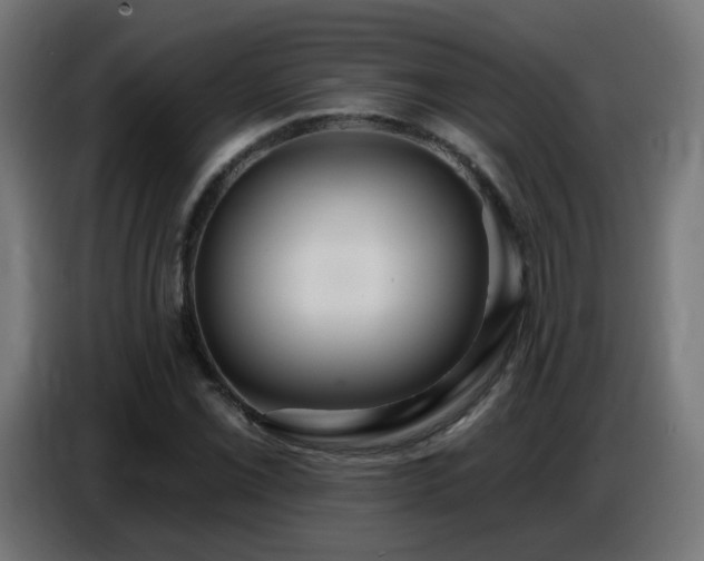 X0000086751069200704131146