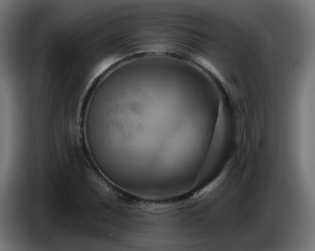 X0000086751071200704131146