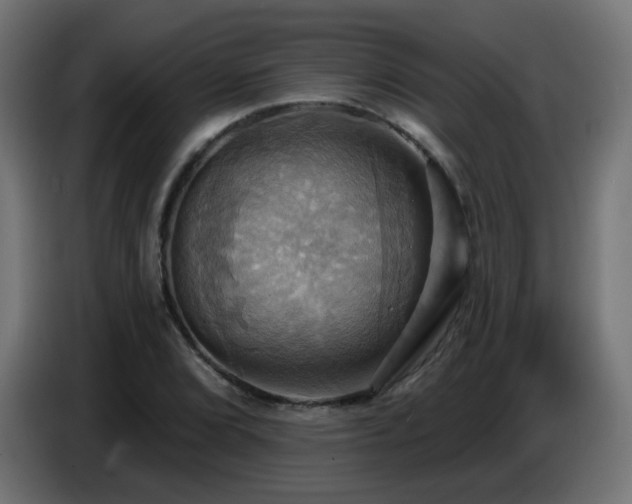 X0000086751072200704131146