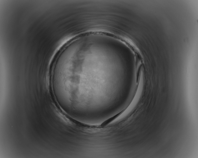 X0000086751076200704131146