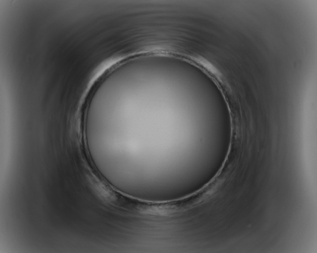 X0000086751078200704131146