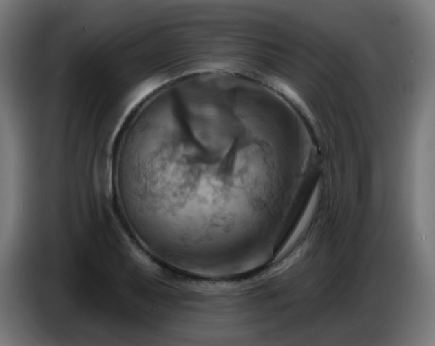 X0000086751079200704131146