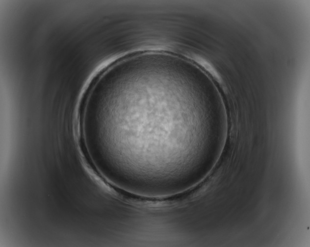 X0000086751080200704131146