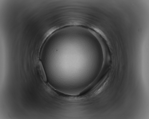 X0000086751081200704131146