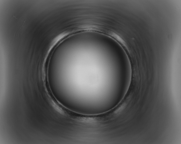 X0000086751082200704131146
