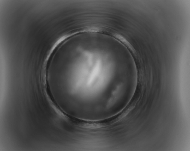 X0000086751083200704131146