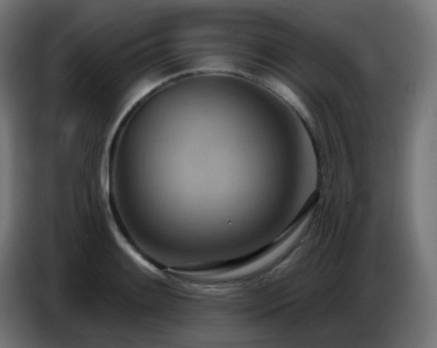 X0000086751084200704131146
