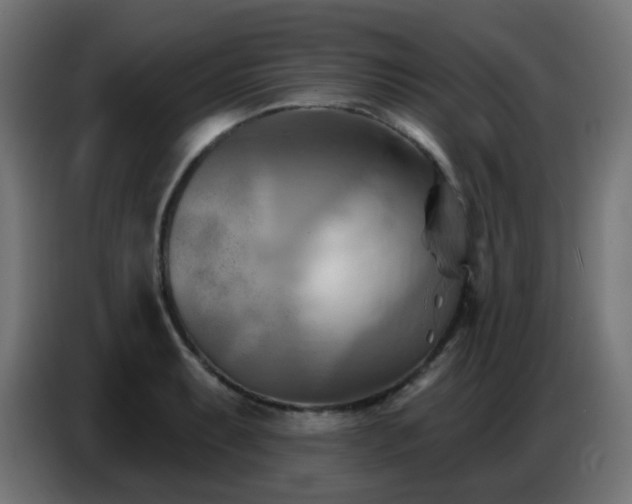 X0000086751087200704131146
