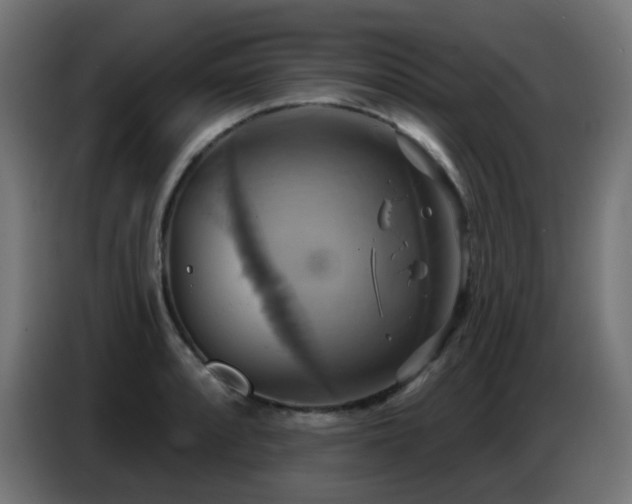 X0000086751088200704131146