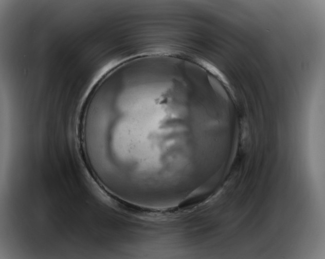 X0000086751091200704131146