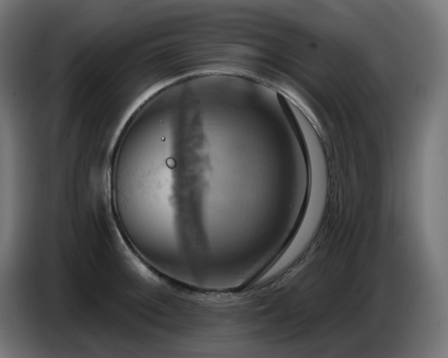 X0000086751092200704131146