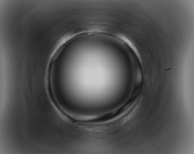 X0000086751093200704131145