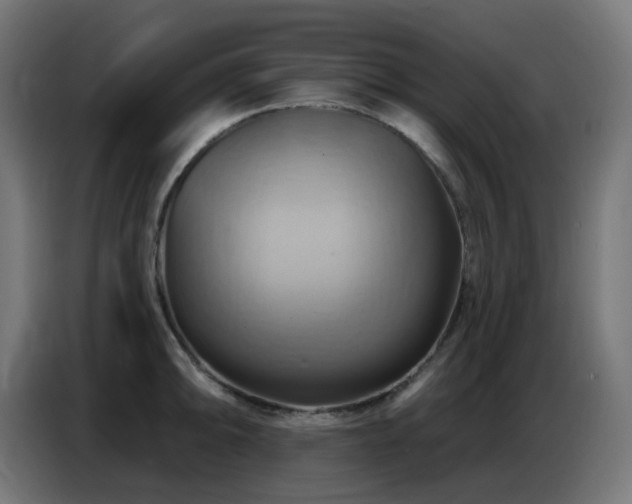 X0000086751094200704131145
