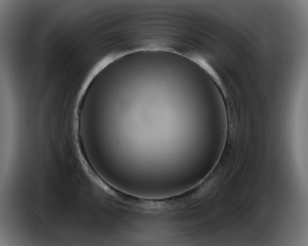 X0000086751096200704131145