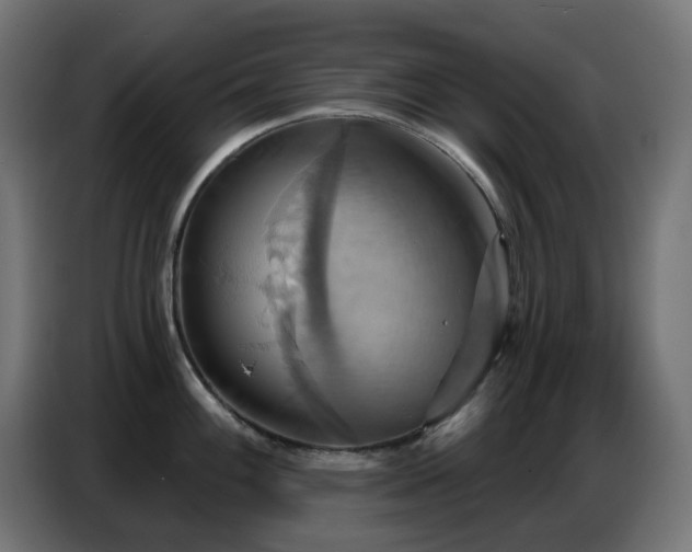 X0000086751100200704131145