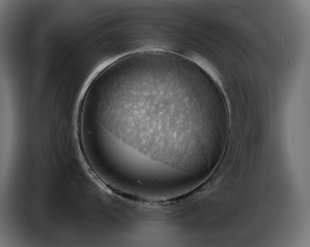 X0000086751104200704131145