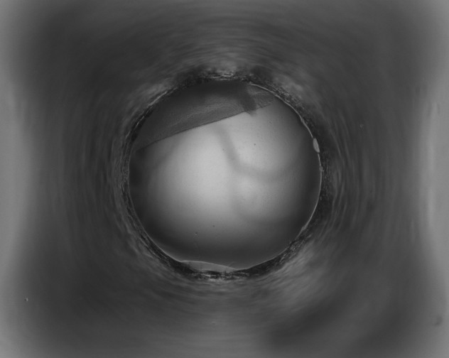 X0000086751105200704131145