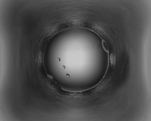 X0000086751107200704131145