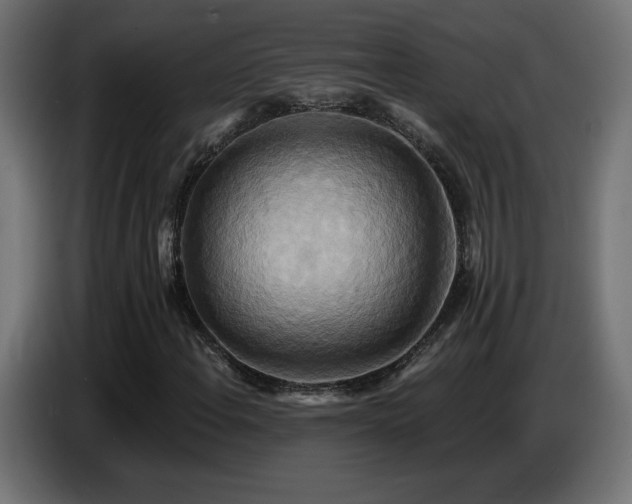 X0000086751108200704131145