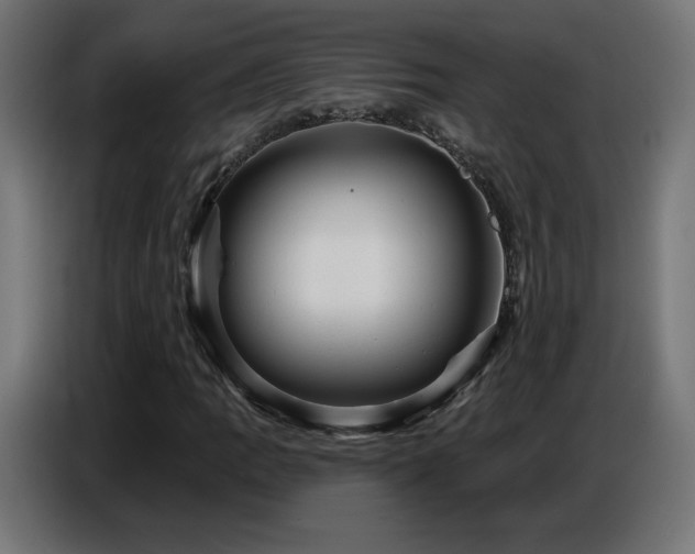 X0000086751109200704131145