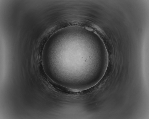 X0000086751111200704131145