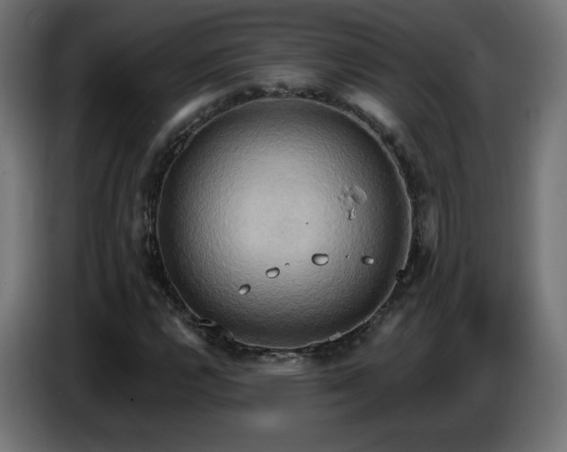 X0000086751112200704131145